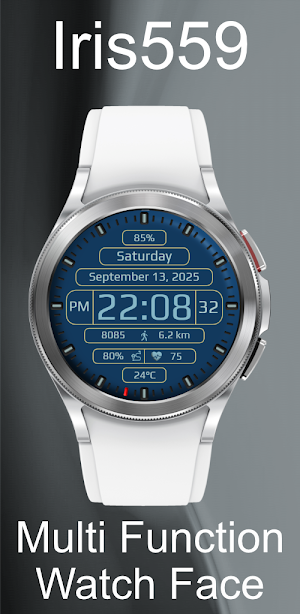 Iris559 Multi-Function Digital Screenshot 1