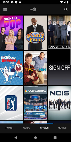 HolstonTV Screenshot 2