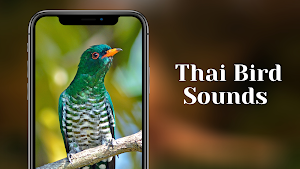 Thai Bird Sounds Screenshot 0