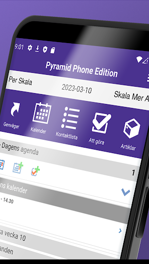 Pyramid Nova Office Screenshot 0