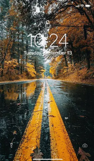 Offline HD Wallpaper Screenshot 0