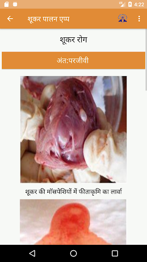 IVRI-Pig Farming App(शूकर पालन) Screenshot 2