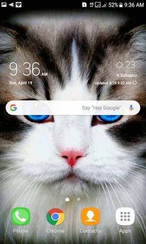 Blue Eyes Cat LWP Screenshot 1