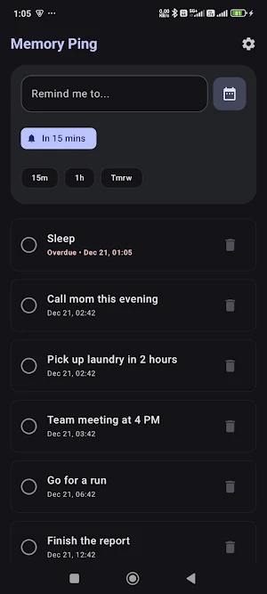 Memory Ping Screenshot 3