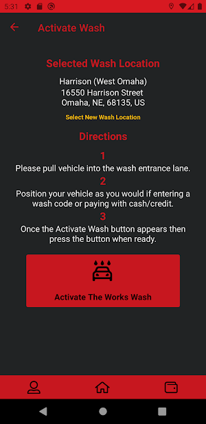 Gorilla Car Wash Screenshot 2