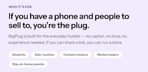 BigPlug Screenshot 1
