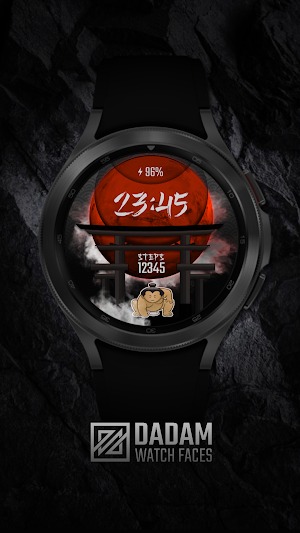 Digital watch face - SUMO INFO Screenshot 0