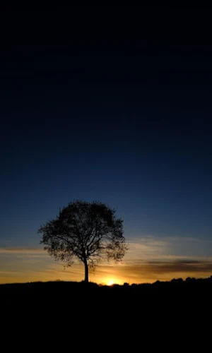 Nature Wallpapers Screenshot 1