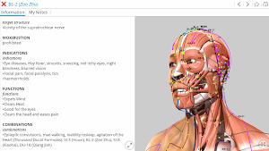 Visual Acupuncture 3D Screenshot 0