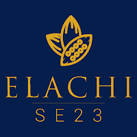 Elachi