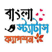 Bangla Status: বাংলা স্ট্যাটাস
