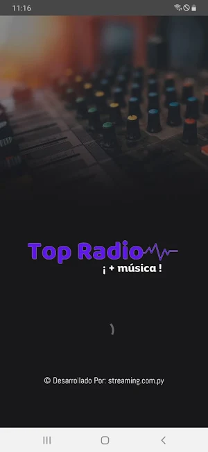 Top Radio Online Screenshot 0