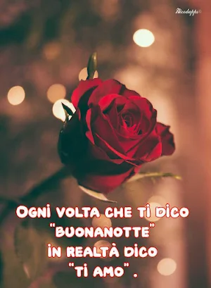 Buonanotte Amore Screenshot 0