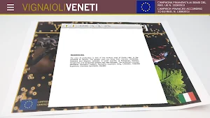VIGNAIOLI VENETI Screenshot 2