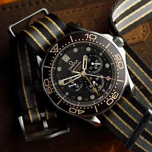 Seamaster GMT RAVE Screenshot 1