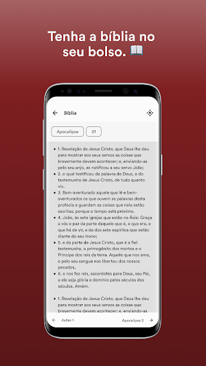 SIB de Santíssimo Screenshot 2