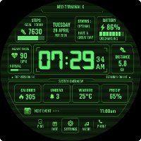Neo Terminal X Watch Face