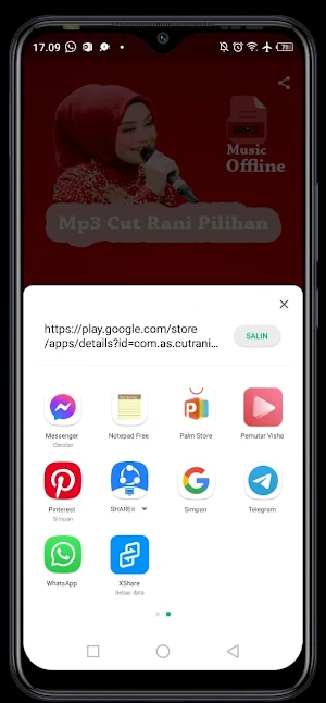 Kumpulan Lagu Cut Rani Pilihan Screenshot 2