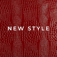 New Style Beauty
