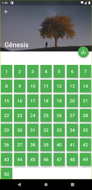 Bíblia Falada Screenshot 1