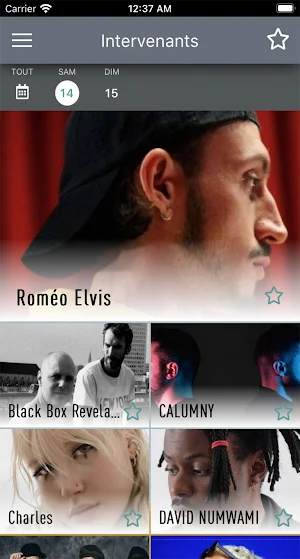 Ronquières Festival Screenshot 3