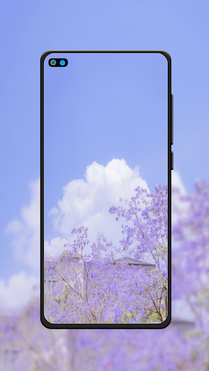 Calming Wallpaper HD Screenshot 3