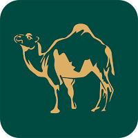 Camel Zone - منطقة الجمل