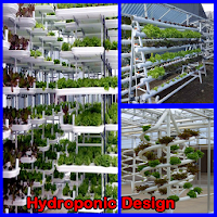Hydroponic Design