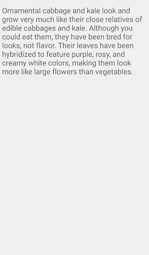 Ornamental Cabbage and Kale Screenshot 1