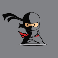 Ninja Sushi & Thai Restaurant