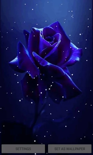 Dark Blue Rose LWP Screenshot 0