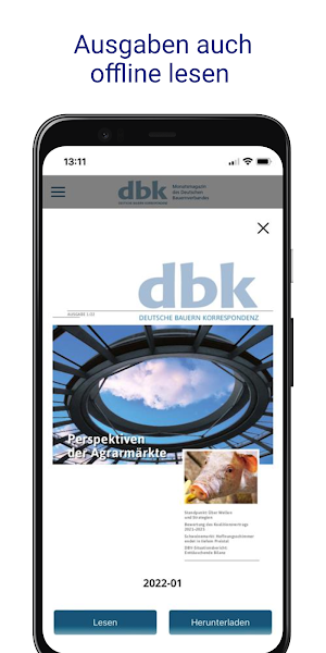 dbk online Screenshot 1