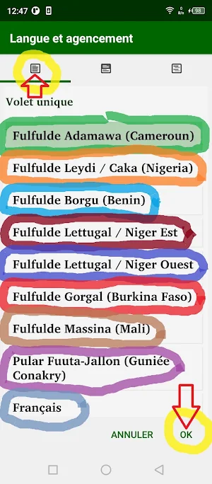 Fulfulde Dewtere Screenshot 2