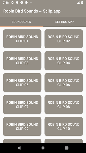 Robin Bird Sound Collections ~ Sclip.app Screenshot 0