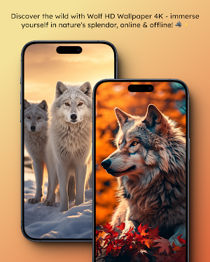 Wolf Wallpaper HD 4K Screenshot 2