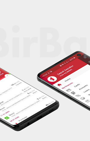 BirBank Screenshot 1