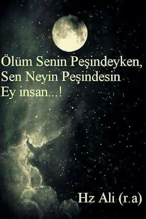 Hz.Ali sözleri resimli Screenshot 2