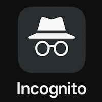 incognito mode browser