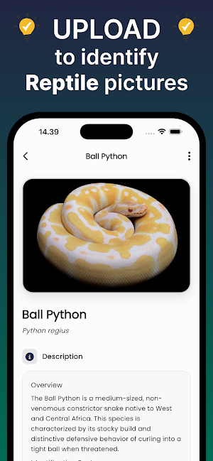 Reptile ID: Reptile Identifier Screenshot 1