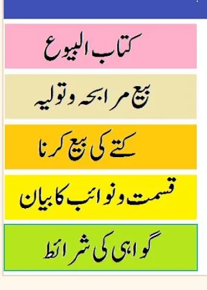 Ain ul hidayah jild 6 urdu sha Screenshot 0