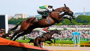 Real Horse Run Screenshot 1
