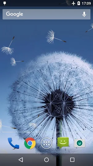 Dandelion Live Wallpaper Screenshot 0