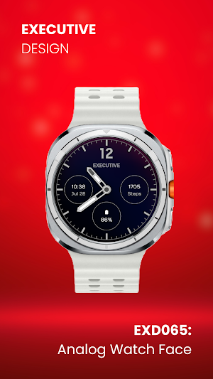 EXD065: Analog Watch Face Screenshot 2