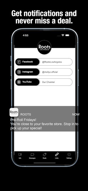 Roots LA Screenshot 2