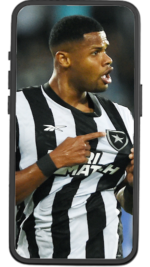 Botafogo Wallpapers Screenshot 1