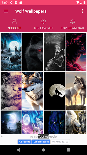 The Wolf Wallpapers Screenshot 0