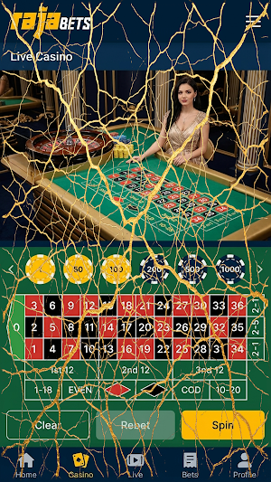 Rajabets Screenshot 3