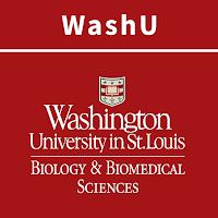 WashU DBBS