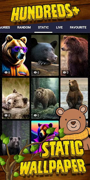 bear wallpaper Screenshot 3