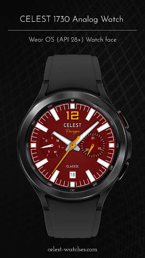 CELEST1730 Analog Watch Screenshot 0